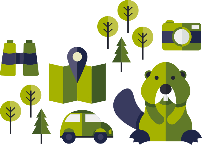 Zerpen Safari Hero Image